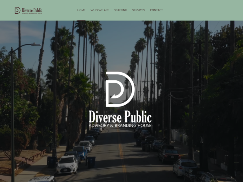 Diverse Public website design portfolio