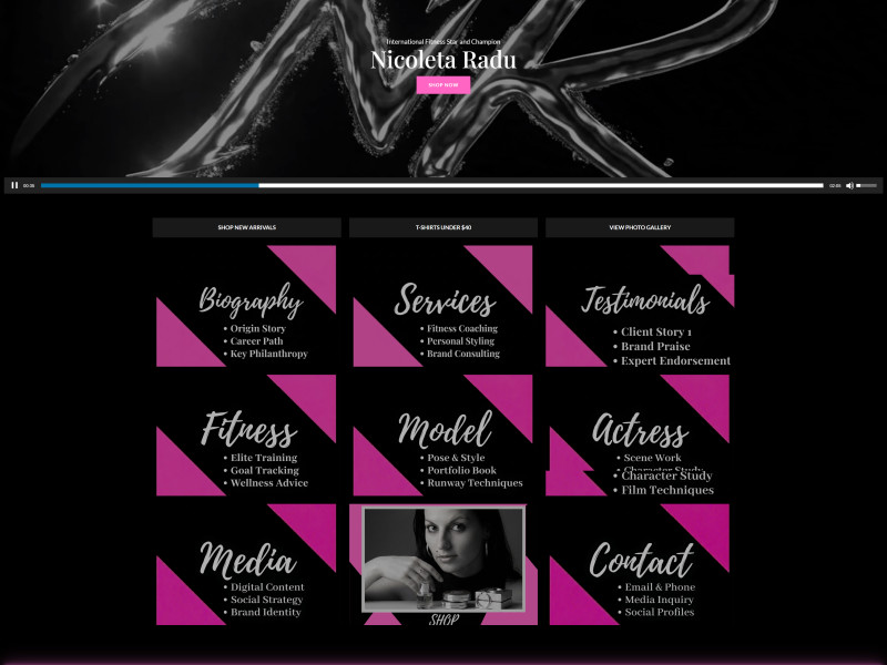 Professor Nicoleta Radu website design portfolio