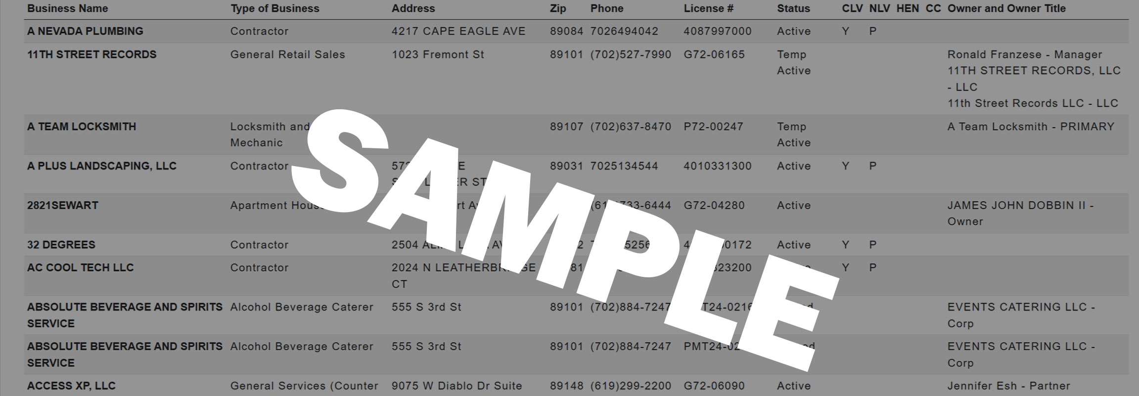 Example preview of Las Vegas business lead listing data